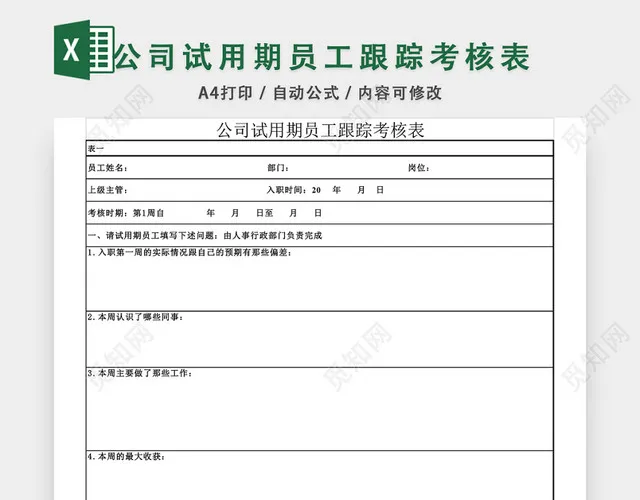 公司试用期员工跟踪考核表EXCEL模板插图