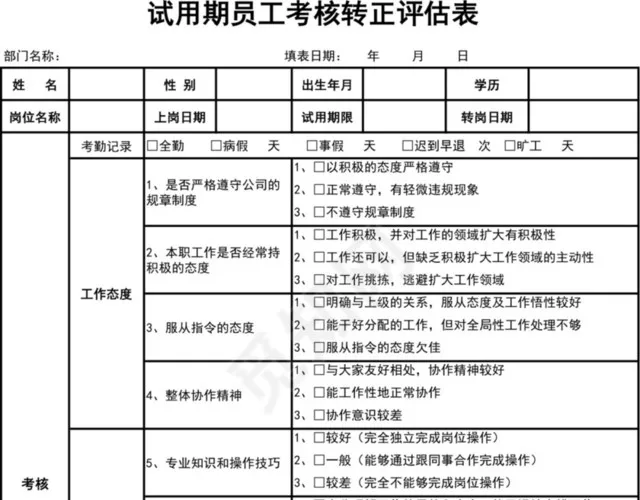 黑白试用期考核评分表插图1