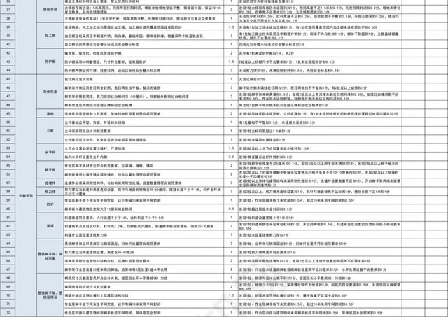 蓝色公司项目标准化管理考核评分表插图2